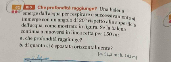 bo Che profondità raggiunge? Una balena
emerge dall’acqua per respirare e successivamente si
immerge con un angolo di 20° rispetto alla superficie
dell'acqua, come mostrato in figura. Se la balena
continua a muoversi in linea retta per 150 m :
a. che profondità raggiunge?
b. di quanto si è spostata orizzontalmente?
[a. 51,3 m; b. 141 m ]