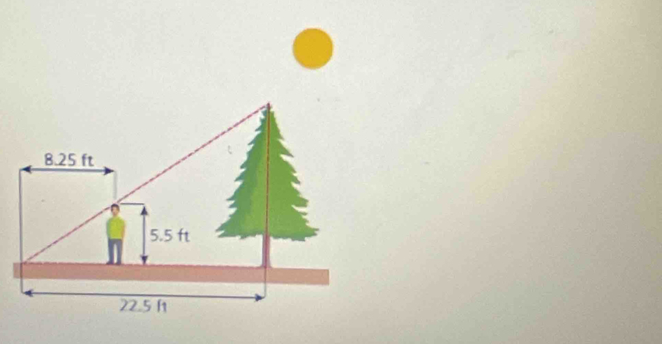 8.25 ft
5.5 ft
22.5 h