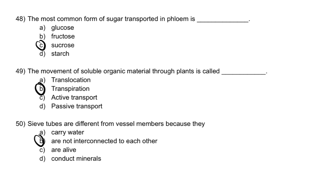 The most common form of sugar transported in phloem is_
..
a) glucose
b) fructose
c sucrose
d) starch
49) The movement of soluble organic material through plants is called_
a) Translocation
b Transpiration
c) Active transport
d) Passive transport
50) Sieve tubes are different from vessel members because they
a) carry water
b are not interconnected to each other
c) are alive
d) conduct minerals