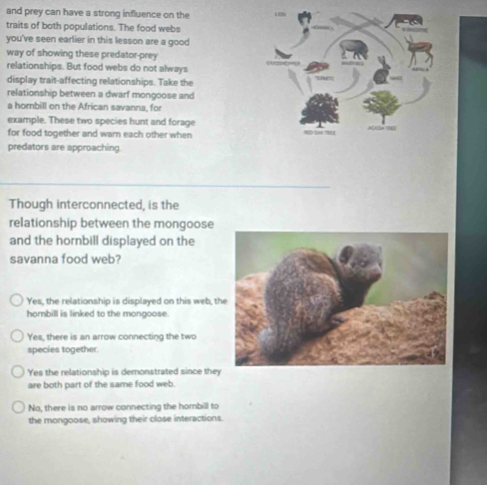 and prey can have a strong influence on the
traits of both populations. The food webs
you've seen earlier in this lesson are a good
way of showing these predator-prey
relationships. But food webs do not always
display trait-affecting relationships. Take the
relationship between a dwarf mongoose and
a hombill on the African savanna, for
example. These two species hunt and forage
for food together and warn each other when
predators are approaching.
Though interconnected, is the
relationship between the mongoose
and the hornbill displayed on the
savanna food web?
Yes, the relationship is displayed on this web, th
hombill is linked to the mongoose.
Yes, there is an arrow connecting the two
species together.
Yes the relationship is demonstrated since they
are both part of the same food web.
No, there is no arrow connecting the hombill to
the mongoose, showing their close interactions.