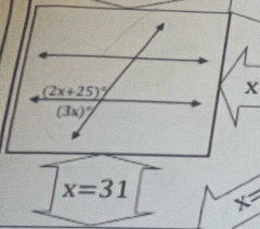 x=31 x=