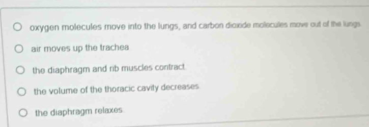 oxygen molecules move into the lungs, and carbon dioxide molecules move out of the lungs.
air moves up the trachea
the diaphragm and rib muscles contract
the volume of the thoracic cavity decreases
the diaphragm relaxes.