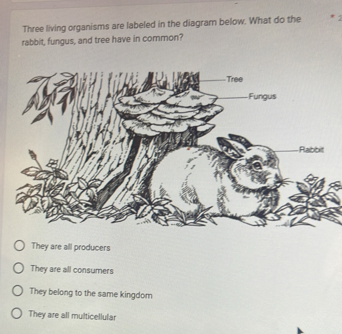 Solved: Three living organisms are labeled in the diagram below. What ...