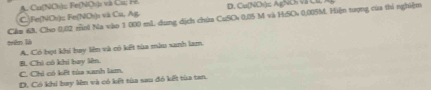 A. Cu(NOb) z; Fe(NQ) z và Cu; F2.
D. Cu(NOs) z AgNOs và Cu, Ag
Cầu 63, Cho 0,02 mol Na vào 1 000 mL dung địch chứa CuSO₄ 0,05 M và H:SO: 0,005M. Hiện tượng của thi nghiệm C.)Fe(NOs):; Fe(NOs) ₃ và Cu, Ag.
trên là
A. Có bợt khi hay lên và có kết tùa màu xanh lam.
B. Chì có khi tay lên.
C. Chi có kết tùa xanh lam.
D. Có khí bay lên và có kết tùa sau đỏ kết tùa tan.