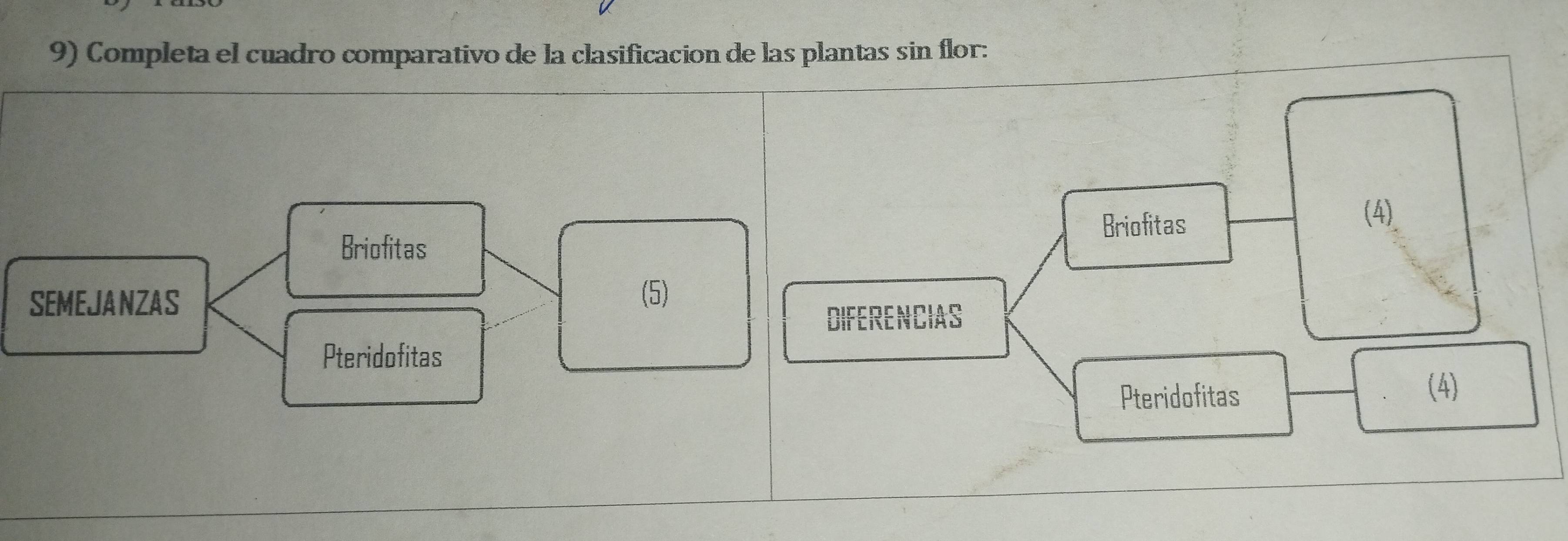 Completa el cuadro comparativo de la clasificacion de las plantas sin flor:
Briofitas
(4)
Briofitas
SEMEJANZAS
(5)
DIFERENCIAS
Pteridofitas
Pteridofitas (4)