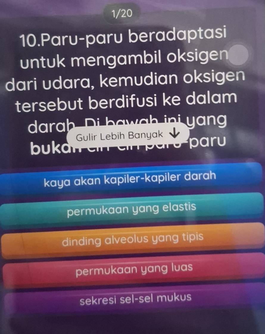 1/20
10.Paru-paru beradaptasi
untuk mengambil oksigen
dari udara, kemudian oksigen
tersebut berdifusi ke dalam
darah Di bawah ini yang
Gulir Lebih Banyak
bukaielr paru
kaya akan kapiler-kapiler darah
permukaan yang elastis
dinding alveolus yang tipis
permukaan yang luas
sekresi sel-sel mukus