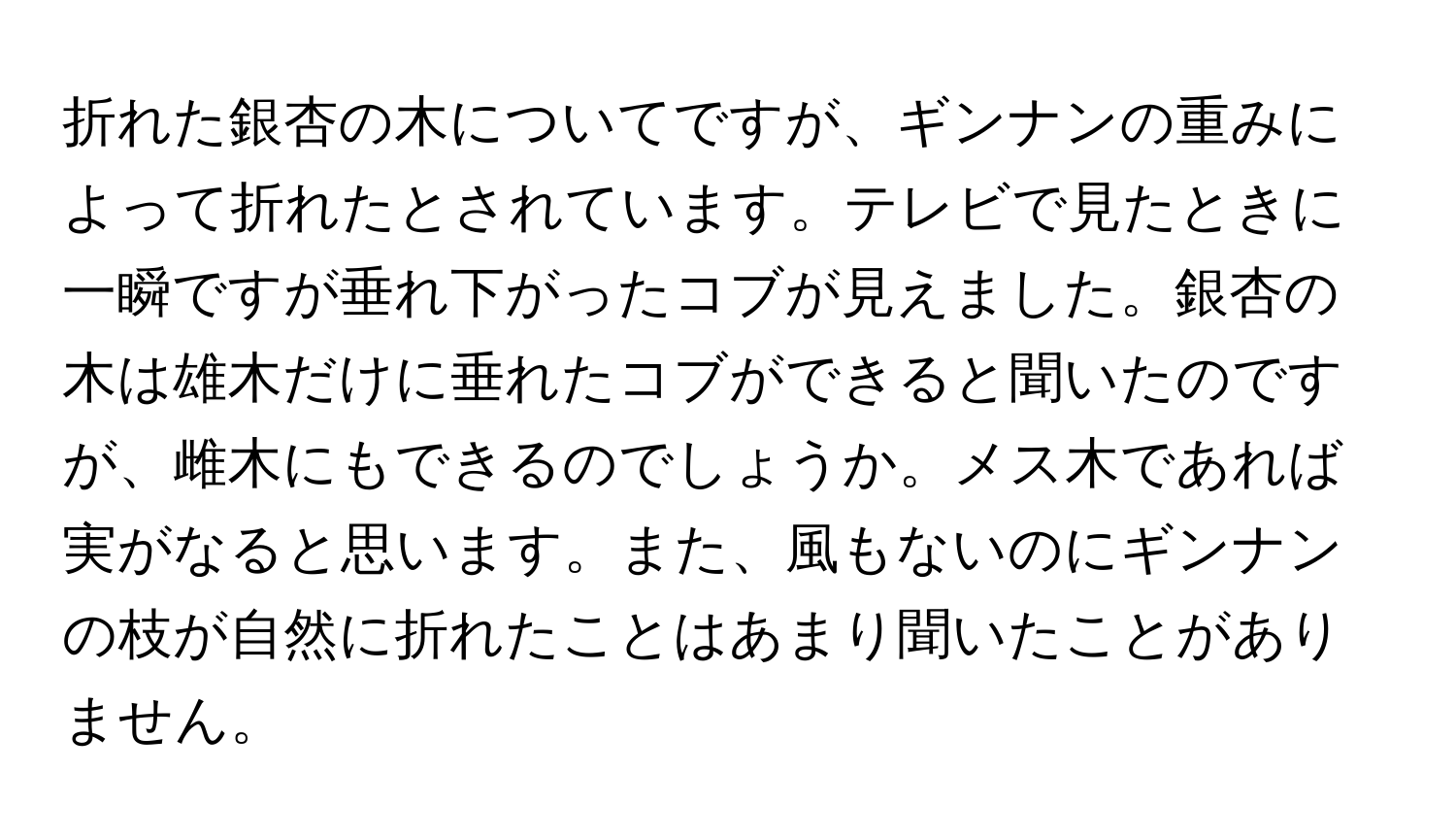 折れた銀杏の木についてですが、ギンナンの重みによって折れたとされています。テレビで見たときに一瞬ですが垂れ下がったコブが見えました。銀杏の木は雄木だけに垂れたコブができると聞いたのですが、雌木にもできるのでしょうか。メス木であれば実がなると思います。また、風もないのにギンナンの枝が自然に折れたことはあまり聞いたことがありません。