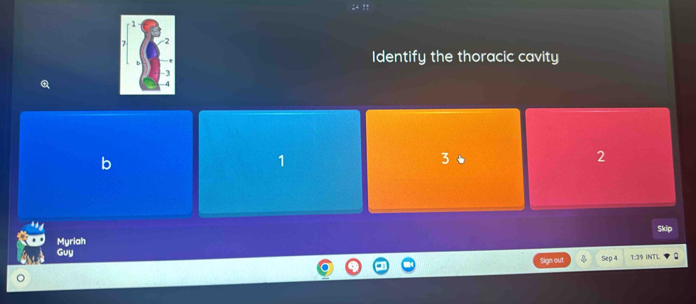 Identify the thoracic cavity
b
1
3
2
Skip
Myriah
Guy Sep 4 1: 39 INTL
Sign out