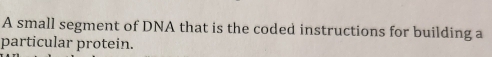 A small segment of DNA that is the coded instructions for building a 
particular protein.