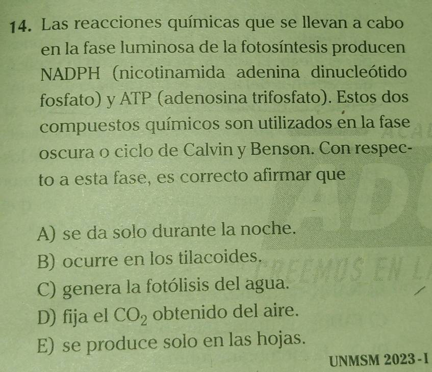 Las reacciones químicas que se llevan a cabo
en la fase luminosa de la fotosíntesis producen
NADPH (nicotinamida adenina dinucleótido
fosfato) y ATP (adenosina trifosfato). Estos dos
compuestos químicos son utilizados en la fase
oscura o ciclo de Calvin y Benson. Con respec-
to a esta fase, es correcto afirmar que
A) se da solo durante la noche.
B) ocurre en los tilacoides.
C) genera la fotólisis del agua.
D) fija el CO_2 obtenido del aire.
E) se produce solo en las hojas.
UNMSM 2023-I