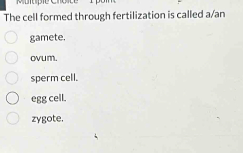 Mutpie Chôic
The cell formed through fertilization is called a/an
gamete.
ovum.
sperm cell.
egg cell.
zygote.