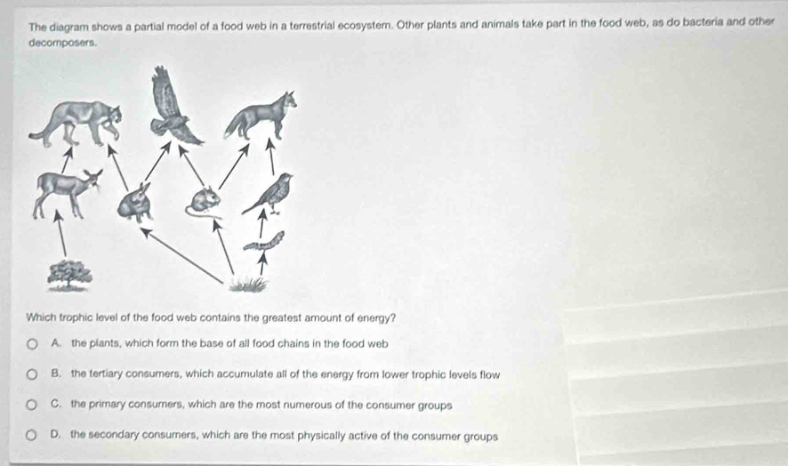 Solved: The diagram shows a partial model of a food web in a ...