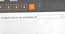 houve
1 2 3 4 5 6 7 B 9
A plant root is an example of □.