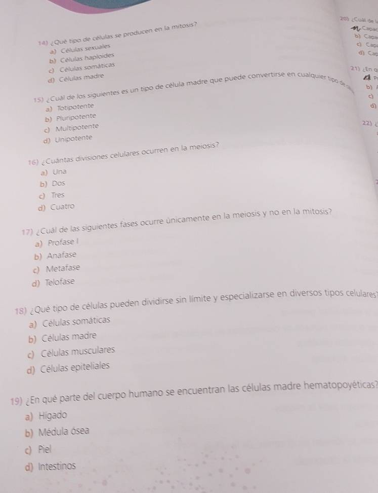 ¿Cuál de l
A Capar
14) ¿Qué tipo de células se producen en la mitosis?
b) Capa
a) Células sexuales
c) Cap
b) Células haploides
d) Cap
d) Células madre c) Células somáticas
21) ¿En q
A p
15) ¿Cual de los siguientes es un tipo de célula madre que puede convertirse en cualquier tipo de 
b)
c)
a) Totipotente
d)
b) Pluripotente
c) Multipotente
22)
d) Unipotente
16) ¿Cuántas divisiones celulares ocurren en la meiosis?
a) Una
b) Dos
c) Tres
d) Cuatro
17) ¿Cuál de las siguientes fases ocurre únicamente en la meiosis y no en la mitosis?
a) Profase l
b) Anafase
c) Metafase
d) Telofase
18) ¿Qué tipo de células pueden dividirse sin límite y especializarse en diversos tipos celulares
a) Células somáticas
b) Células madre
c) Células musculares
d) Células epiteliales
19) ¿En qué parte del cuerpo humano se encuentran las células madre hematopoyéticas?
a) Hígado
b) Médula ósea
c) Piel
d) Intestinos