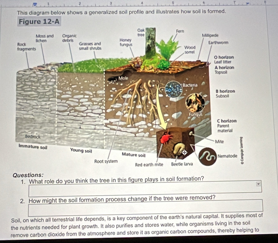 Solved: 2 5 This diagram below shows a generalized soil profile and ...