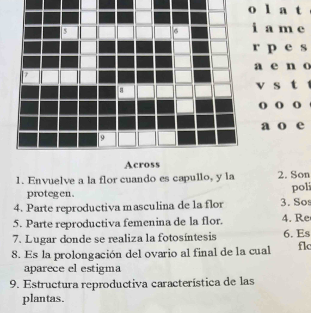 a t 
a m e
p e s 
a e n o 
v s t 
() () o 
a o e 
1. Envuelve a la flor cuando es capullo, y la 2. Son 
protegen. 
poli 
4. Parte reproductiva masculina de la flor 3. Sos 
5. Parte reproductiva femenina de la flor. 4. Re 
7. Lugar donde se realiza la fotosíntesis 6. Es 
8. Es la prolongación del ovario al final de la cual flc 
aparece el estigma 
9. Estructura reproductiva característica de las 
plantas.