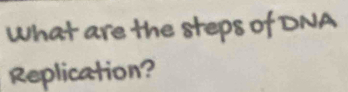 What are the steps of DNA 
Replication?