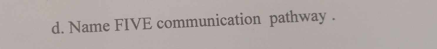 Name FIVE communication pathway .