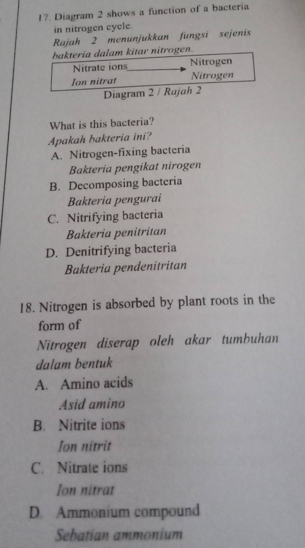 Diagram 2 shows a function of a bacteria
in nitrogen cycle.
Rajah 2 menunjukkan fungsi sejenis
bakteria dalam kitar nitrogen.
Nitrate ions
Nitrogen
Ion nitrat
Nitrogen
Diagram 2 / Rajah 2
What is this bacteria?
Apakah bakteria ini?
A. Nitrogen-fixing bacteria
Bakteria pengikat nirogen
B. Decomposing bacteria
Bakteria pengurai
C. Nitrifying bacteria
Bakteria penitritan
D. Denitrifying bacteria
Bakteria pendenitritan
18. Nitrogen is absorbed by plant roots in the
form of
Nitrogen diserap oleh akar tumbuhan
dalam bentuk
A. Amino acids
Asid amino
B. Nitrite ions
Ion nitrit
C. Nitrate ions
Ion nitrat
D. Ammonium compound
Sebatian ammonium