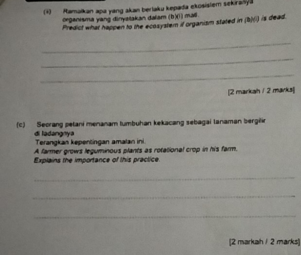 (#) Ramaikan apa yang akan berlaku kepada ekosislem sekiranya 
organisma yang dinyatakan dalam (b)(i) mati. 
Predict what happen to the ecosystem if organism stated in (b)(i) is dead. 
_ 
_ 
_ 
[2 markah / 2 marks] 
(c) Seorang pelani menanam tumbuhan kekacang sebagai lanaman bergilir 
di ladangnya 
Terangkan kepentingan amalan ini 
A farmer grows leguminous plants as rotational crop in his farm. 
Explains the importance of this practice. 
_ 
_ 
_ 
[2 markah / 2 marks]