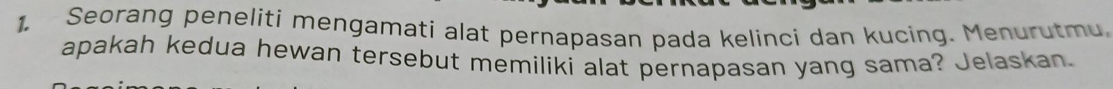 Seorang peneliti mengamati alat pernapasan pada kelinci dan kucing. Menurutmu, 
apakah kedua hewan tersebut memiliki alat pernapasan yang sama? Jelaskan.