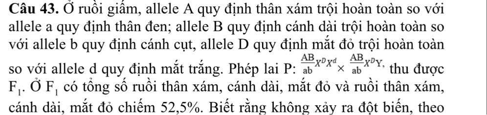 Ở ruồi giầm, allele A quy định thân xám trội hoàn toàn so với 
allele a quy định thân đen; allele B quy định cánh dài trội hoàn toàn so 
với allele b quy định cánh cụt, allele D quy định mắt đỏ trội hoàn toàn 
so với allele d quy định mắt trắng. Phép lai P:  AB/ab X^DX^d*  AB/ab X^DY, thu được
F_1.vector OF_1 có tổng số ruồi thân xám, cánh dài, mắt đỏ và ruồi thân xám, 
cánh dài, mắt đỏ chiếm 52, 5%. Biết rằng không xảy ra đột biến, theo