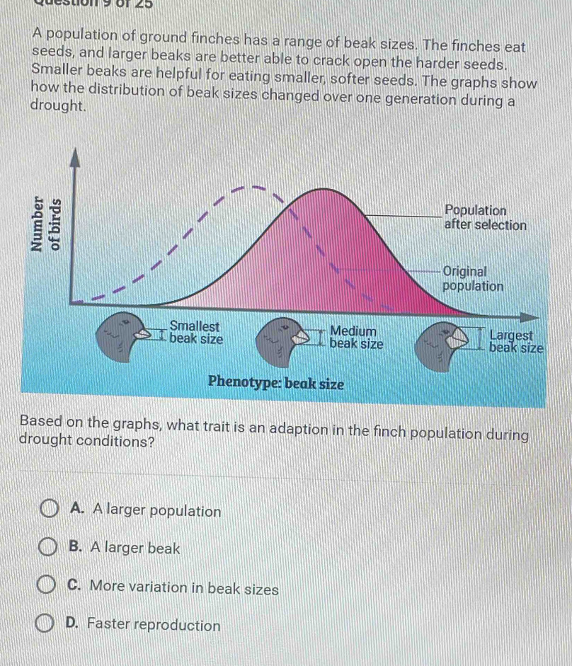 destion 9 of 25
A population of ground finches has a range of beak sizes. The finches eat
seeds, and larger beaks are better able to crack open the harder seeds.
Smaller beaks are helpful for eating smaller, softer seeds. The graphs show
how the distribution of beak sizes changed over one generation during a
drought.
Phenotype: beak size
Based on the graphs, what trait is an adaption in the finch population during
drought conditions?
A. A larger population
B. A larger beak
C. More variation in beak sizes
D. Faster reproduction