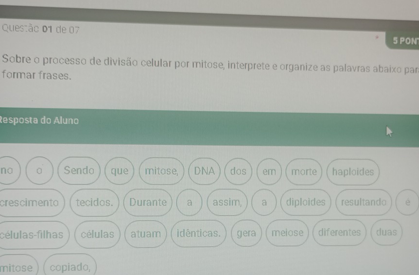 de 07 5 PON 
Sobre o processo de divisão celular por mitose, interprete e organize as palavras abaixo par 
formar frases. 
Resposta do Áluno 
no 0 Sendo que mitase, DNA dos em marte haploides 
crescimenta tecidas. Durante a assim, a diploides resultando é 
células-filhas células atuam idênticas. gera meiase diferentes duas 
mitase copiado,