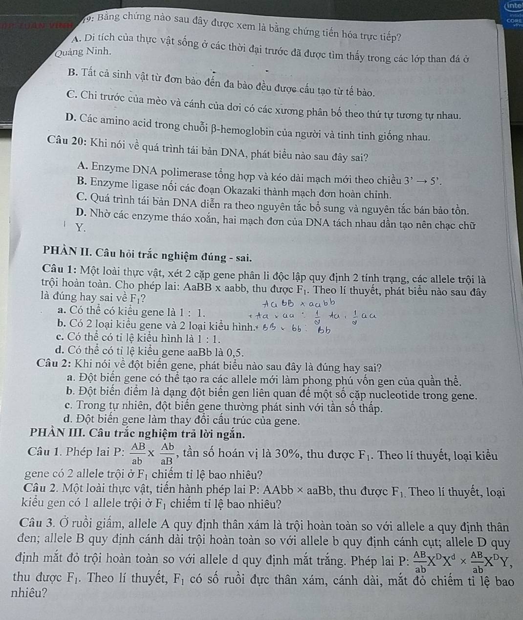 inte
COR
* 19: Bằng chứng nào sau đây được xem là bằng chứng tiến hóa trực tiếp?
A. Di tích của thực vật sống ở các thời đại trước đã được tìm thấy trong các lớp than đá ở
Quảng Ninh.
B. Tất cả sinh vật từ đơn bào đến đa bào đều được cấu tạo từ tế bào.
C. Chi trước của mèo và cánh của dơi có các xương phân bố theo thứ tự tương tự nhau.
D. Các amino acid trong chuỗi β-hemoglobin của người và tinh tinh giống nhau.
Câu 20: Khi nói về quá trình tái bản DNA, phát biểu nào sau đây sai?
A. Enzyme DNA polimerase tổng hợp và kéo dài mạch mới theo chiều 3^,to 5^,.
B. Enzyme ligase nối các đoạn Okazaki thành mạch đơn hoàn chỉnh.
C. Quá trình tái bản DNA diễn ra theo nguyên tắc bổ sung và nguyên tắc bán bảo tồn.
D. Nhờ các enzyme tháo xoắn, hai mạch đơn của DNA tách nhau dần tạo nên chạc chữ
Y.
PHÀN II. Câu hỏi trắc nghiệm đúng - sai.
Câu 1: Một loài thực vật, xét 2 cặp gene phân li độc lập quy định 2 tính trạng, các allele trội là
trội hoàn toàn. Cho phép lai: AaBB x aabb, thu được F_1. Theo lí thuyết, phát biểu nào sau đây
là đúng hay sai về F_1 ?
a. Có thể có kiểu gene là 1:1.
b. Có 2 loại kiểu gene và 2 loại kiều hình.
c. Có thể có tỉ lệ kiểu hình là 1:1.
d. Có thể có tỉ lệ kiểu gene aaBb là 0,5.
Câu 2: Khi nói về đột biến gene, phát biểu nào sau đây là đúng hay sai?
a. Đột biển gene có thể tạo ra các allele mới làm phong phú vốn gen của quần thể.
b. Đột biến điểm là dạng đột biến gen liên quan đế một số cặp nucleotide trong gene.
c. Trong tự nhiên, đột biến gene thường phát sinh với tần số thấp.
d. Đột biến gene làm thay đổi cấu trúc của gene.
PHÀN III. Câu trắc nghiệm trả lời ngắn.
Câu 1. Phép lai P:  AB/ab *  Ab/aB  , tần số hoán vị là 30%, thu được F_1. Theo lí thuyết, loại kiểu
gene có 2 allele trội ở F_1 chiếm tỉ lệ bao nhiêu?
Câu 2. Một loài thực vật, tiến hành phép lai P: AAbb × aaBb, , thu được F_1 Theo lí thuyết, loại
kiểu gen có 1 allele trội ở F_1 chiếm tỉ lệ bao nhiêu?
Câu 3. Ở ruồi giấm, allele A quy định thân xám là trội hoàn toàn so với allele a quy định thân
đen; allele B quy định cánh dài trội hoàn toàn so với allele b quy định cánh cụt; allele D quy
định mắt đỏ trội hoàn toàn so với allele d quy định mắt trắng. Phép lai P: AB/ab X^DX^d*  AB/ab X^DY,
thu được F_1. Theo lí thuyết, F_1 có shat O ruồi đực thân xám, cánh dài, mắt đỏ chiếm tỉ lệ bao
nhiêu?