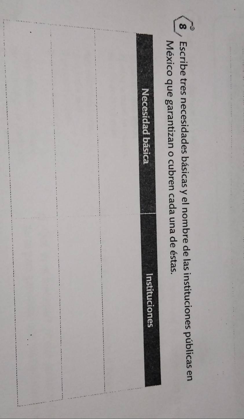 Escribe tres necesidades básicas y el nombre de las instituciones públicas en 
México que garantizan o cubren cada una de éstas.