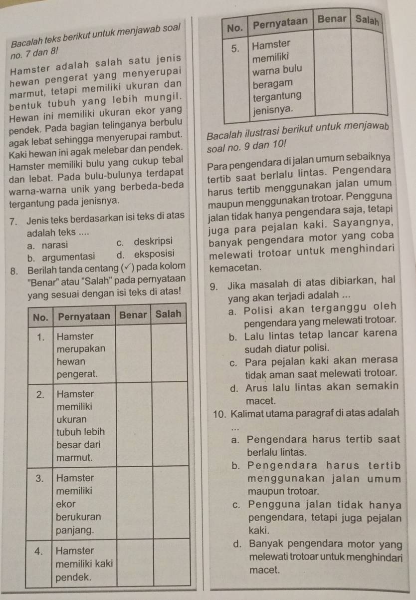 Bacalah teks berikut untuk menjawab soal 
no. 7 dan 8!
Hamster adalah salah satu jenis
hewan pengerat yang menyerupai
marmut, tetapi memiliki ukuran dan
bentuk tubuh yang lebih mungil.
Hewan ini memiliki ukuran ekor yang
pendek. Pada bagian telinganya berbulu
agak lebat sehingga menyerupai rambut. Baca
Kaki hewan ini agak melebar dan pendek. soal no. 9 dan 10!
Para pengendara di jalan umum sebaiknya
Hamster memiliki bulu yang cukup tebal
dan lebat. Pada bulu-bulunya terdapat tertib saat berlalu lintas. Pengendara
warna-warna unik yang berbeda-beda
tergantung pada jenisnya. harus tertib menggunakan jalan umum
maupun menggunakan trotoar. Pengguna
7. Jenis teks berdasarkan isi teks di atas jalan tidak hanya pengendara saja, tetapi
adalah teks ....
juga para pejalan kaki. Sayangnya,
a. narasi c. deskripsi banyak pengendara motor yang coba
b. argumentasi d. eksposisi melewati trotoar untuk menghindari
8. Berilah tanda centang (✓) pada kolom kemacetan.
''Benar' atau "Salah" pada pernyataan
ngan isi teks di atas! 9. Jika masalah di atas dibiarkan, hal
yang akan terjadi adalah ...
a. Polisi akan terganggu oleh
pengendara yang melewati trotoar.
b. Lalu lintas tetap lancar karena
sudah diatur polisi.
c. Para pejalan kaki akan merasa
tidak aman saat melewati trotoar.
d. Arus lalu lintas akan semakin
macet.
10. Kalimat utama paragraf di atas adalah
a. Pengendara harus tertib saat
berlalu lintas.
b. Pengendara harus tertib
menggunakan jalan umum
maupun trotoar.
c. Pengguna jalan tidak hanya
pengendara, tetapi juga pejalan
kaki.
d. Banyak pengendara motor yang
melewati trotoar untuk menghindari
macet.