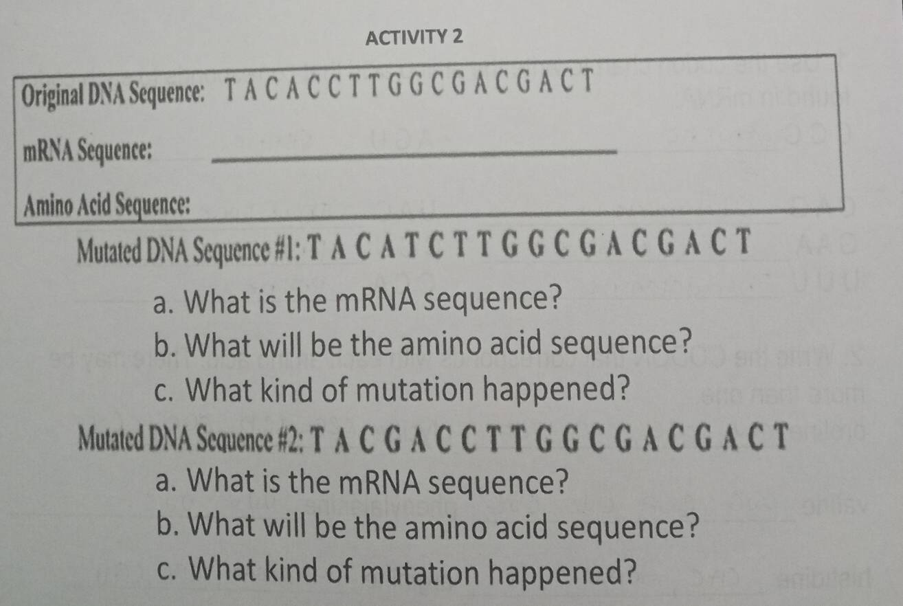 ACTIVITY 2 
Original DNA Sequence: T A C A C C T T G G C G A C G A C T 
mRNA Sequence:_ 
Amino Acid Sequence: 
Mutated DNA Sequence #1: T A C A T C T T G G C G A C G A C T 
a. What is the mRNA sequence? 
b. What will be the amino acid sequence? 
c. What kind of mutation happened? 
Mutated DNA Sequence #2: T A C G A C C T T G G C G A C G A C T 
a. What is the mRNA sequence? 
b. What will be the amino acid sequence? 
c. What kind of mutation happened?