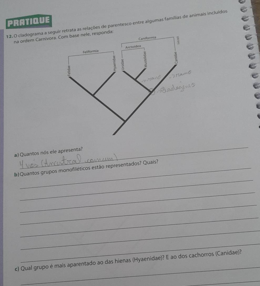 PRATIQUE 
12.O cladograma a seguir retrata as relações de parentesco entre algumas famílias de animais incluídos 
na ordem Carnivora.nda: 
_ 
a) Quantos nós ele apresenta? 
_ 
b)Quantos grupos monofiléticos estão representados? Quais? 
_ 
_ 
_ 
_ 
_ 
_ 
_ 
c) Qual grupo é mais aparentado ao das hienas (Hyaenidae)? E ao dos cachorros (Canidae)? 
_