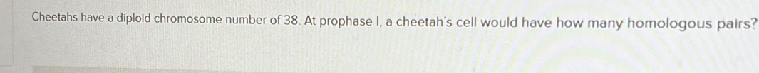 Cheetahs have a diploid chromosome number of 38. At prophase I, a cheetah's cell would have how many homologous pairs?