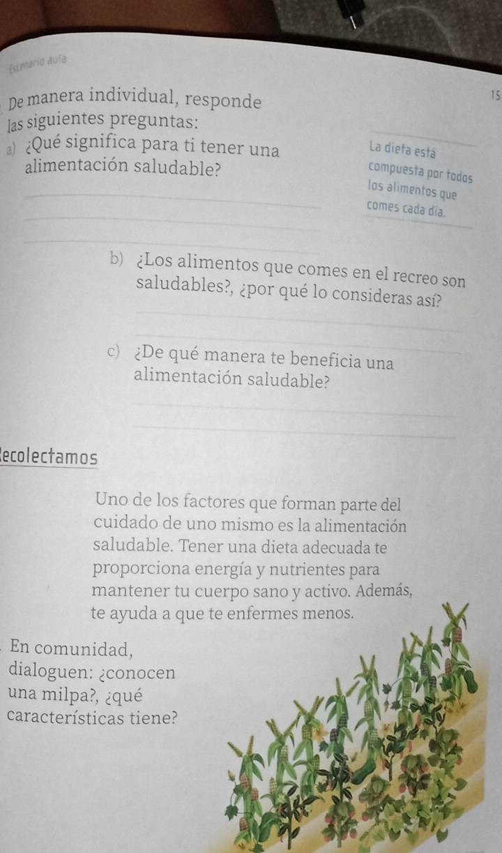 Escenario aula 
De manera individual, responde 
15 
las siguientes preguntas: 
¿Qué significa para ti tener una 
_ 
La dieta está 
alimentación saludable? 
compuesta por todos 
_los alimentos que 
_ 
comes cada día. 
_ 
_ 
b) ¿Los alimentos que comes en el recreo son 
_ 
saludables?, ¿por qué lo consideras así? 
_ 
c) ¿De qué manera te beneficia una 
alimentación saludable? 
_ 
_ 
Recolectamos 
Uno de los factores que forman parte del 
cuidado de uno mismo es la alimentación 
saludable. Tener una dieta adecuada te 
proporciona energía y nutrientes para 
mantener tu cuerpo sano y activo. Además, 
te ayuda a que 
En comunidad, 
dialoguen: ¿conocen 
una milpa?, ¿qué 
características tiene?