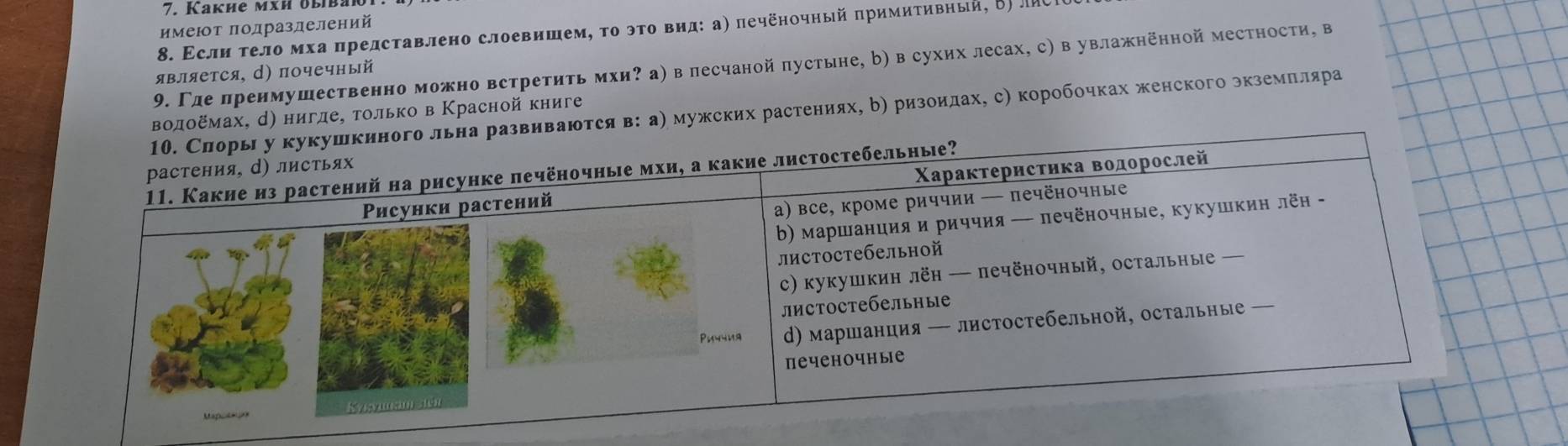 Kaкие мхи übibat
имеют πодразделений
8. Εсли τело мха πредставлено слоевишем, το эτο вид: а) печёночный πримитивный, Β) лC
9. Γдепренмушественно можно встретить мхи? а) в песчанойπустыне, b) в сухих лесах, с)в увлажненной местности, в
является, d) почечный
их растениях, δ) ризоидах, с) коробочках женского зкземπеляра
е, только в Κрасной книге