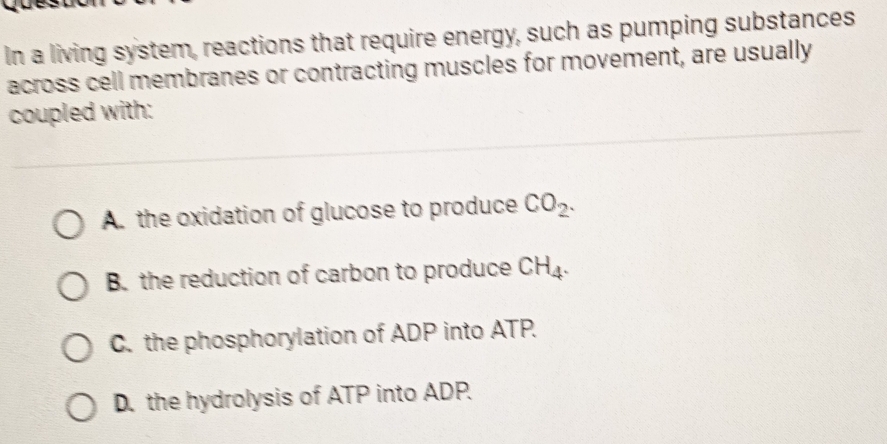 In a living system, reactions that require energy, such as pumping substances
across cell membranes or contracting muscles for movement, are usually
coupled with:
A. the oxidation of glucose to produce CO_2.
B. the reduction of carbon to produce CH_4.
C. the phosphorylation of ADP into ATP.
D. the hydrolysis of ATP into ADP.