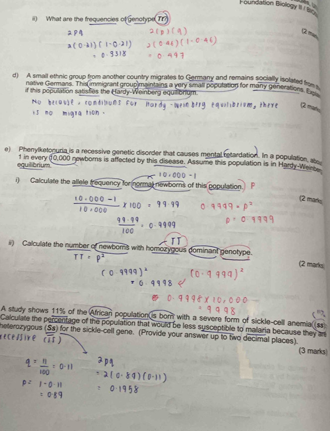 Foundation Biology II I 
ii) What are the frequencies of genotype T 
2 mas 
d) A small ethnic group from another country migrates to Germany and remains socially isolated from 
native Germans. This immigrant group maintains a very small population for many generations. Expa 
if this population satisfies the Hardy-Weinberg equilibrium. 
(2 mark 
e) Phenylketonuria is a recessive genetic disorder that causes mental retardation. In a population, ab 
1 in every 10,000 newborns is affected by this disease. Assume this population is in Hardy-Weirts 
equilibrium. 
i) Calculate the allele frequency for normal newborns of this population. 
(2 mark 
ii) Calculate the number of newborns with homozygous dominant genotype. (2 marks 
A study shows 11% of the African population is born with a severe form of sickle-cell anemia (ss 
Calculate the percentage of the population that would be less susceptible to malaria because they are 
heterozygous (Ss) for the sickle-cell gene. (Provide your answer up to two decimal places). 
(3 marks)