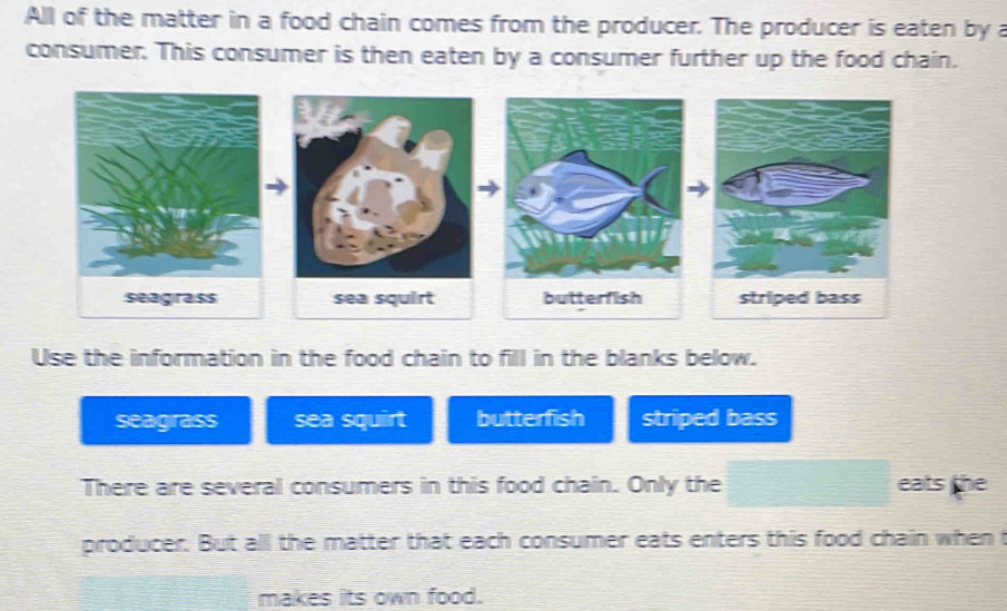 All of the matter in a food chain comes from the producer. The producer is eaten by a
consumer. This consumer is then eaten by a consumer further up the food chain.

Use the information in the food chain to fill in the blanks below.
seagrass sea squirt butterfish striped bass
There are several consumers in this food chain. Only the eats the
producer. But all the matter that each consumer eats enters this food chain when t
makes its own food.