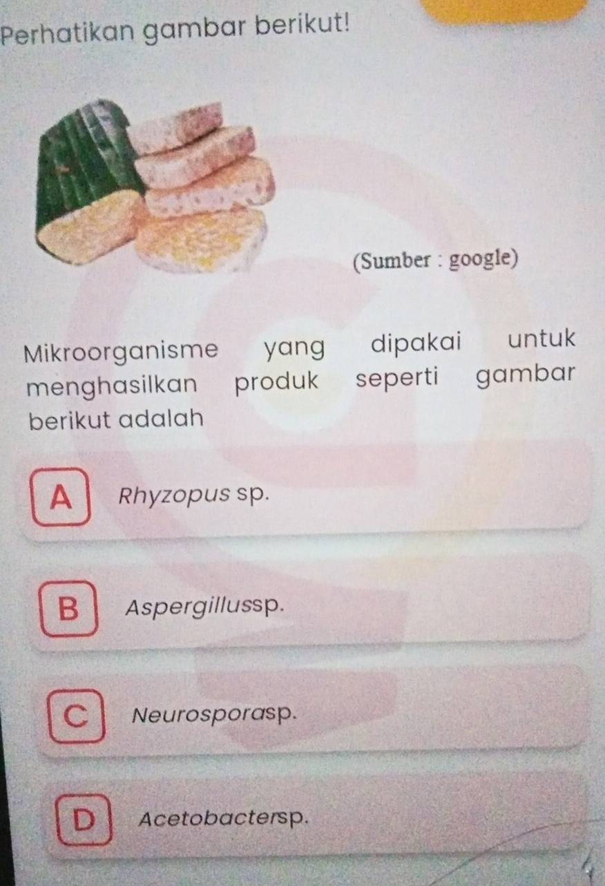 Perhatikan gambar berikut!
(Sumber : google)
Mikroorganisme yang dipakai untuk
menghasilkan produk seperti gambar
berikut adalah
A Rhyzopus sp.
B Aspergillussp.
C Neurosporasp.
D Acetobactersp.