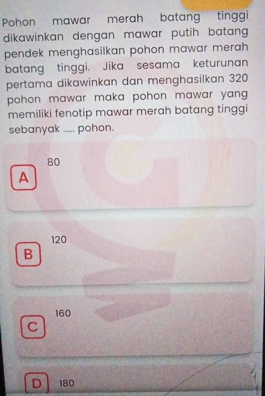 Pohon mawar merah batang tinggi
dikawinkan dengan mawar putih batang 
pendek menghasilkan pohon mawar merah 
batang tinggi. Jika sesama keturunan
pertama dikawinkan dan menghasilkan 320
pohon mawar maka pohon mawar yang.
memiliki fenotip mawar merah batang tinggi
sebanyak ..... pohon.
80
A
120
B
160
C
D 180