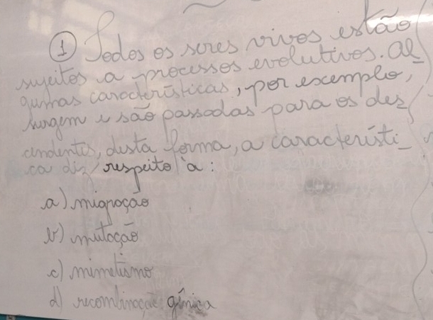 ③ Pedes es hoes noives atae
syaites a measses erelutives. Qn
andntos, dusta Pema, a caractenits
car do ouspute a:
a), mugnogae
(r) mulogae
c1. mimeliame
d woombinna gina