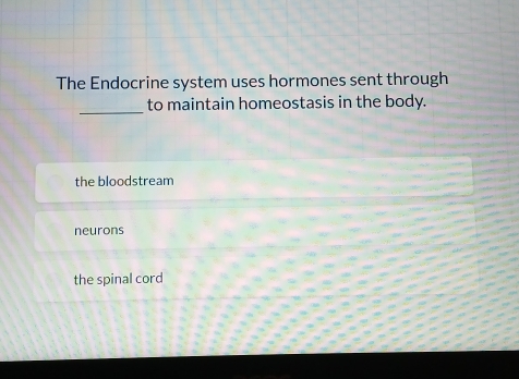 The Endocrine system uses hormones sent through
_
to maintain homeostasis in the body.
the bloodstream
neurons
the spinal cord