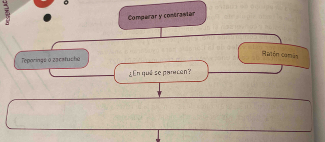 Comparar y contrastar 
Ratón común 
Teporingo o zacatuche 
¿En qué se parecen?