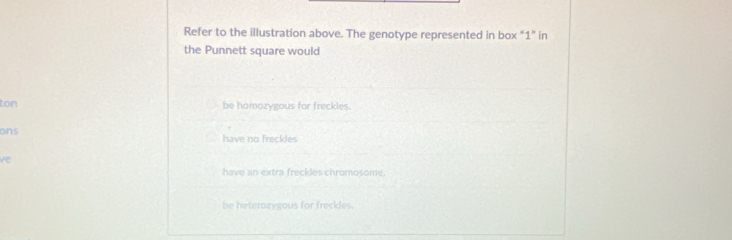 Refer to the illustration above. The genotype represented in box “ 1 ” in
the Punnett square would
ton be homozygous for freckles.
ons have no freckles
ve
have an extra freckles chromosome.
be heterozygous for freckles.