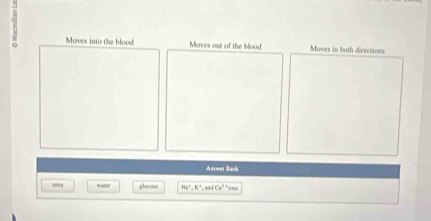 a Moves into the blood Moves out of the blood Moves in both directions 
Answer Bank 
urea waler glucose Na^+, K^+ , and Ca^(2+)lons