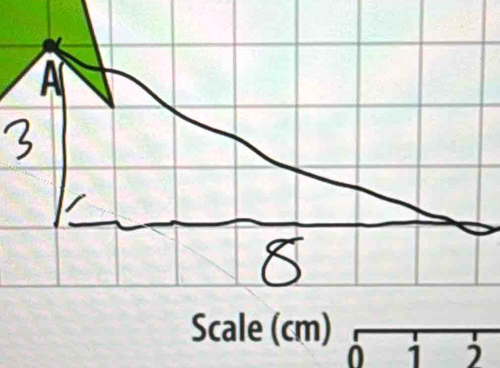 Scale (cm) 
i i