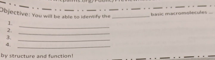 ms.8rg/PuBm 
_ 
Objective: You will be able to identify the_ 
basic macromolecules ... 
1. 
_ 
2. 
_ 
_ 
3. 
4._ 
by structure and function!