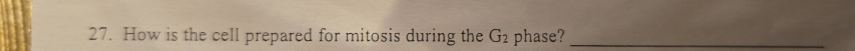 How is the cell prepared for mitosis during the G_2 phase?_