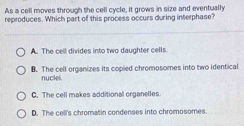 As a cell moves through the cell cycle, it grows in size and eventually
reproduces. Which part of this process occurs during interphase?
A. The cell divides into two daughter cells.
B. The cell organizes its copied chromosomes into two identical
nuclei.
C. The cell makes additional organelles.
D. The cell's chromatin condenses into chromosomes.